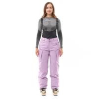 Dragonfly Штаны горнолыжные утепленные Gravity 2025 Woman Purple в Красноярске